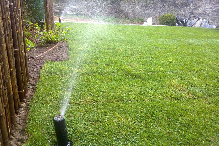 Faire vivre son jardin : bassin, lame d'eau